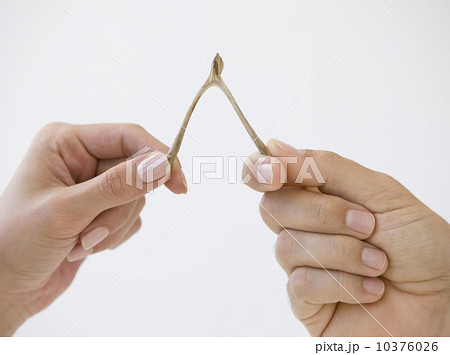 Close up of couple pulling wishbone Close up of couple pulling wishbone 10376026