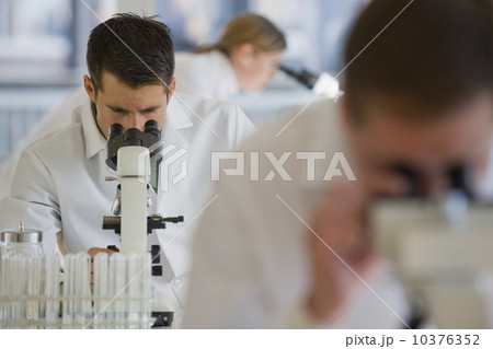Scientists using microscopes in pharmaceutical laboratory 10376352