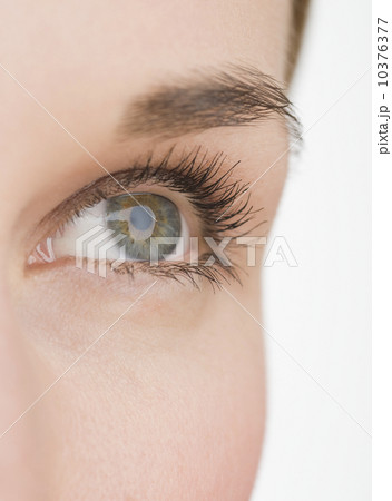 Extreme close up of woman’s eye Extreme close up of woman’s eye 10376377