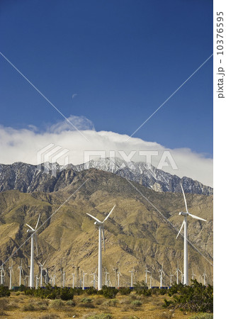 Wind farm in front of mountains, Palm Springs, California, United States Wind farm in front of mountains, Palm Springs, California, United States 10376595