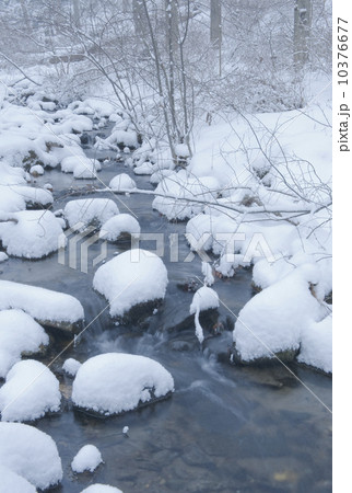 Snowy stream in winter 10376677