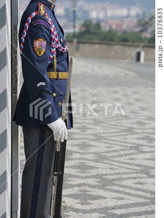 Castle guard on duty 10376835