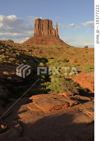 Desert landscape 10377222