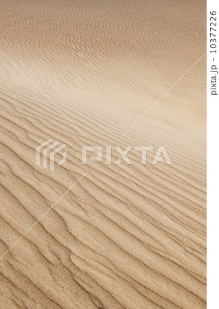 Sand dunes in the desert 10377226
