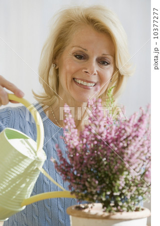 Senior woman watering plant 10377277