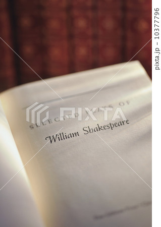 Antique literature book 10377796