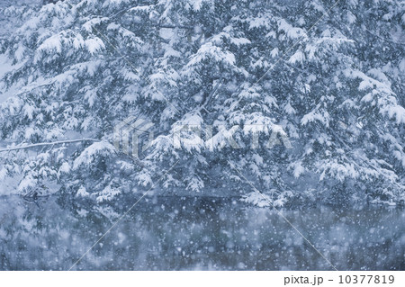Forest and pond in winter 10377819