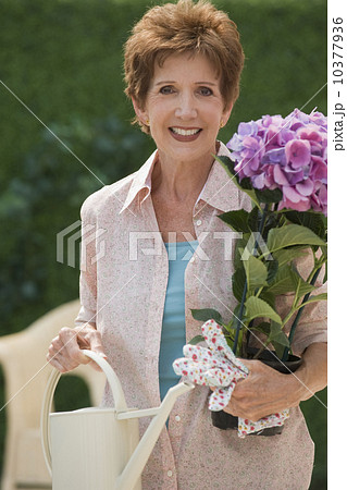 Senior woman gardening Senior woman gardening 10377936