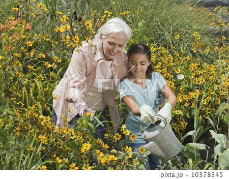 Grandmother and granddaughter watering plants Grandmother and granddaughter watering plants 10378345