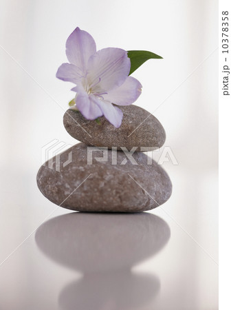 Tropical flower balanced on stones Tropical flower balanced on stones 10378358