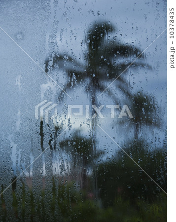 Tropical storm in Bermuda from window 10378435