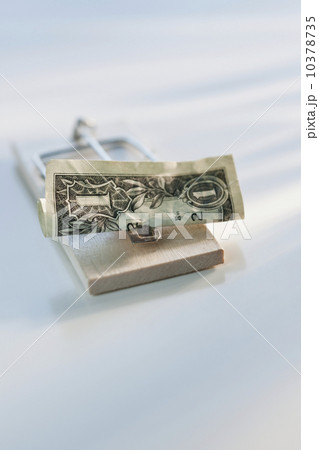 Dollar bill on mouse trap Dollar bill on mouse trap 10378735