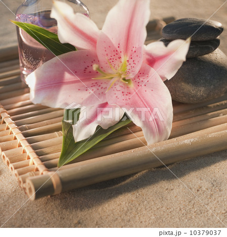 Tropical flower and spa elements 10379037