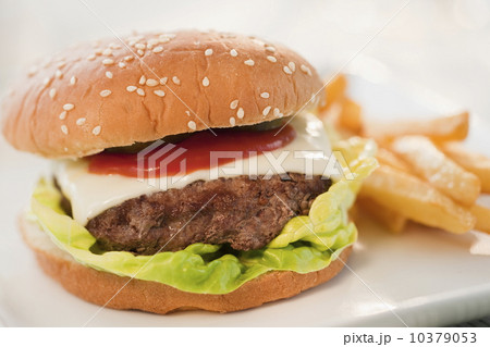 Studio shot of hamburger 10379053
