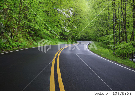 A scenic and empty road 10379358