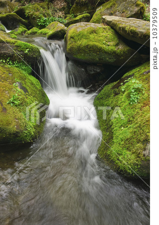 Flowing creek 10379509