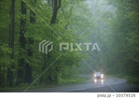A scenic and empty road 10379526