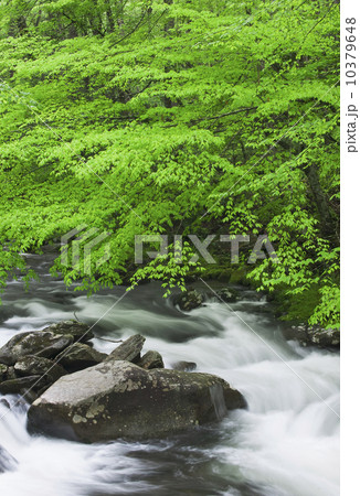 Flowing creek 10379648