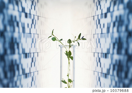 Vase against medical background 10379688