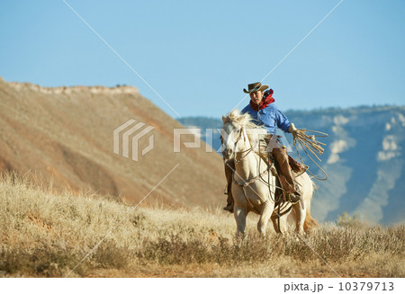 Cowboy 10379713