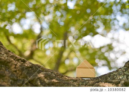 木の家 10380082