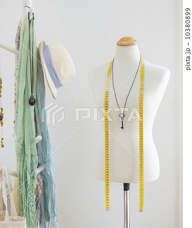 トルソー 10380899