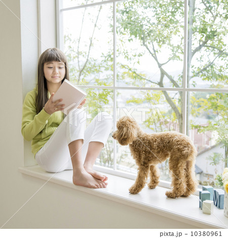 窓辺に座る女の子とトイプードル 10380961