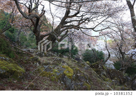 立雲峡 立雲峡 10381352