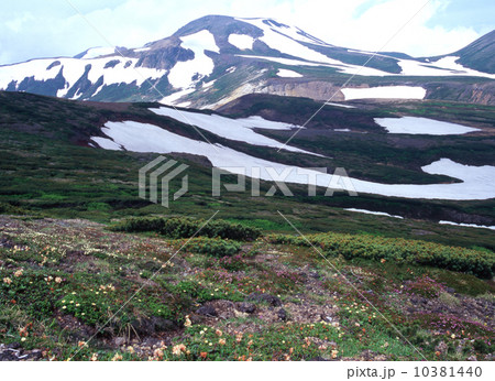 大雪山 北鎮岳 大雪山 北鎮岳 10381440