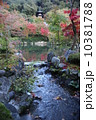 庭園 10381788