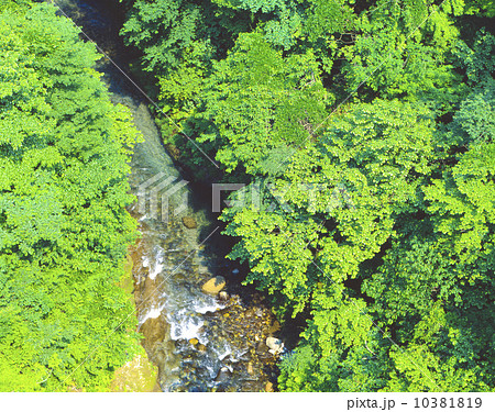 甲子高原 雪割橋・雪割渓谷 甲子高原 雪割橋・雪割渓谷 10381819