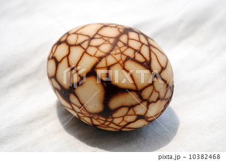 恐竜の卵 10382468