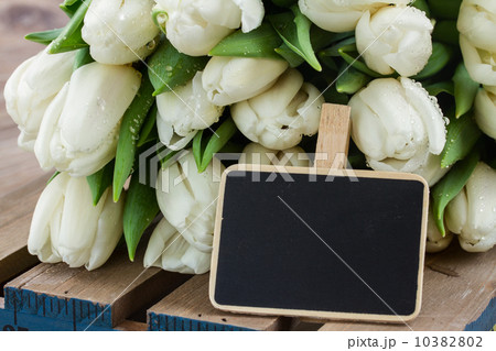 bunch  of white  tulips 10382802
