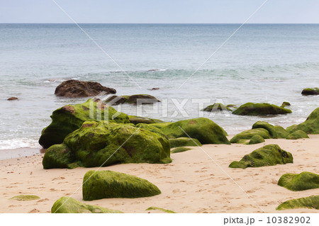 Atlantic ocean coast with green stones in algae. Tangier, Morocc Atlantic ocean coast with green stones in algae. Tangier, Morocc 10382902