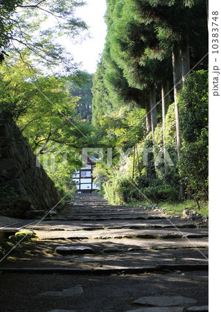 正伝寺 正伝寺 10383748