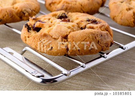 Fresh homemade cookies 10385801