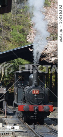 蒸気機関車12号 蒸気機関車12号 10386292