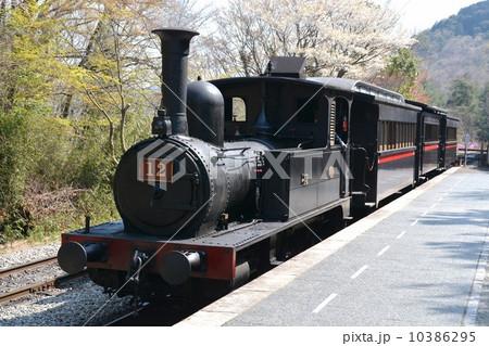蒸気機関車12号 蒸気機関車12号 10386295