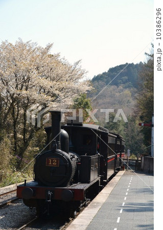 蒸気機関車12号 蒸気機関車12号 10386296