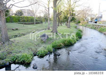 灌漑用水源兵衛川 10386359