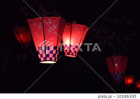 暗闇にともる花見のぼんぼりのあたたかい雰囲気 暗闇にともる花見のぼんぼりのあたたかい雰囲気 10386395