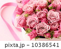 バラ、プレゼント 10386541