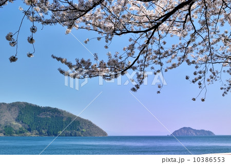 奥琵琶湖の管浦から見る春の竹生島 10386553