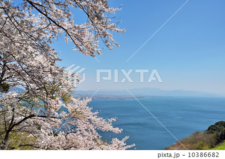 奥琵琶湖パークウェイのドライブと満開の桜の写真素材