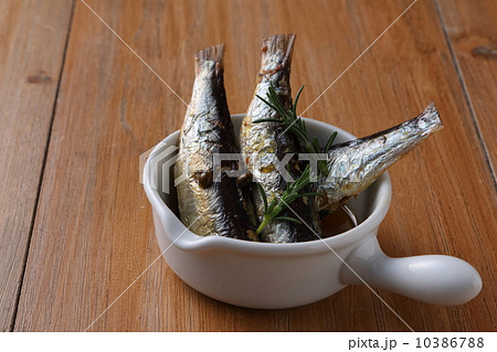 オイルサーディン 10386788