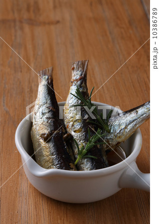 オイルサーディン 10386789