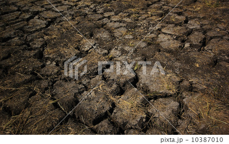 Dry cracked earth as background 10387010