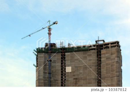 Working crane 10387012