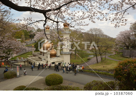 多摩動物園 多摩動物園 10387060