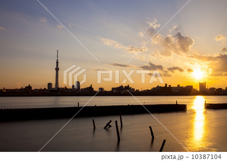 夕景の荒川河川敷とスカイツリー 10387104